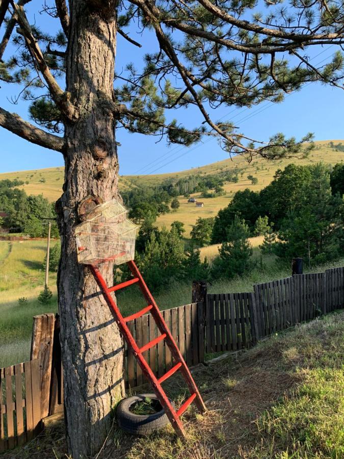 Brvnara Ispod Cigote Apartment Zlatibor
