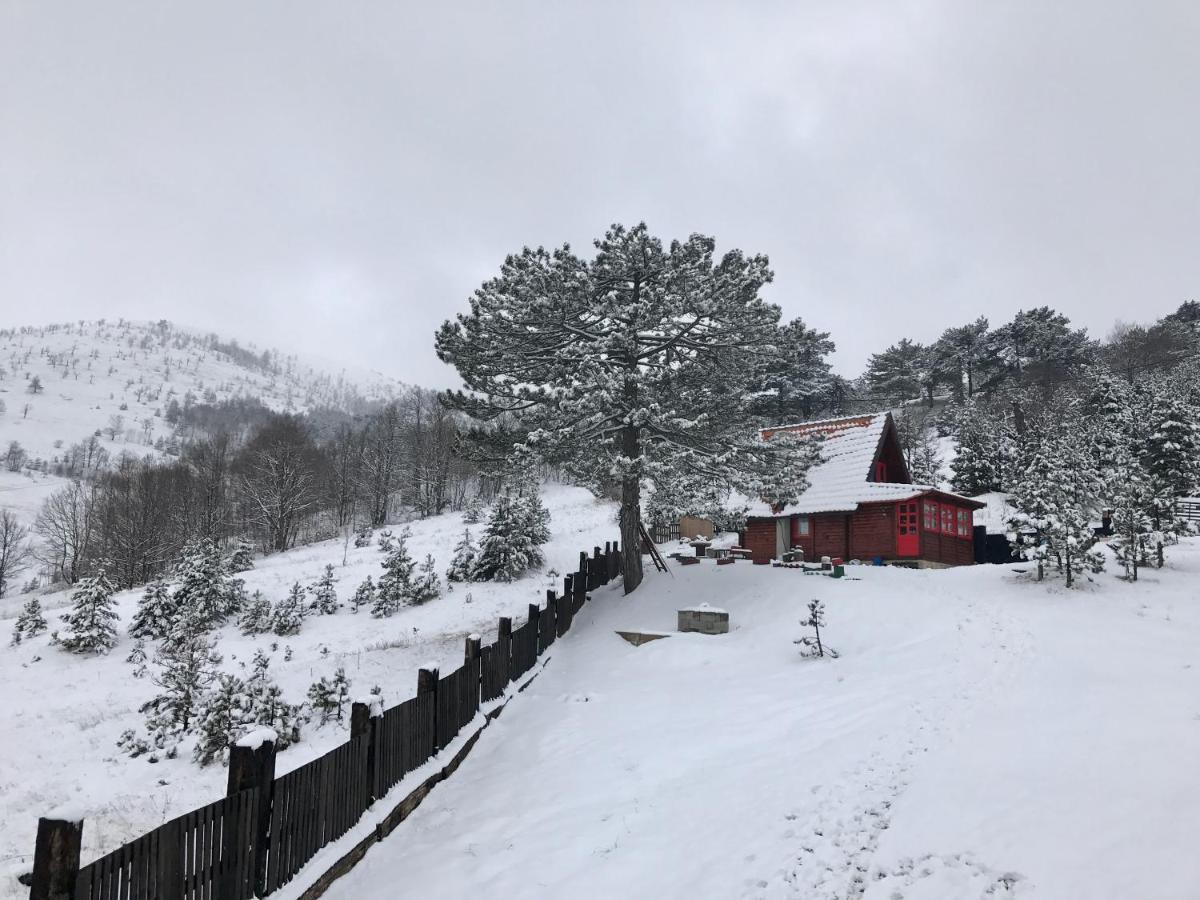 Brvnara Ispod Cigote Zlatibor