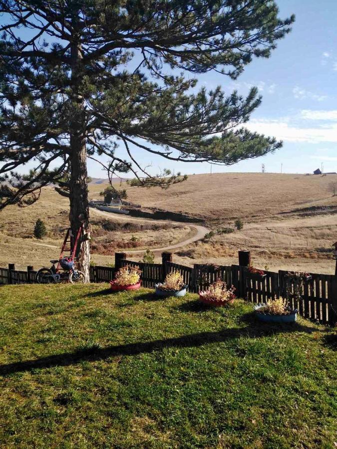 Brvnara Ispod Cigote Apartment Zlatibor