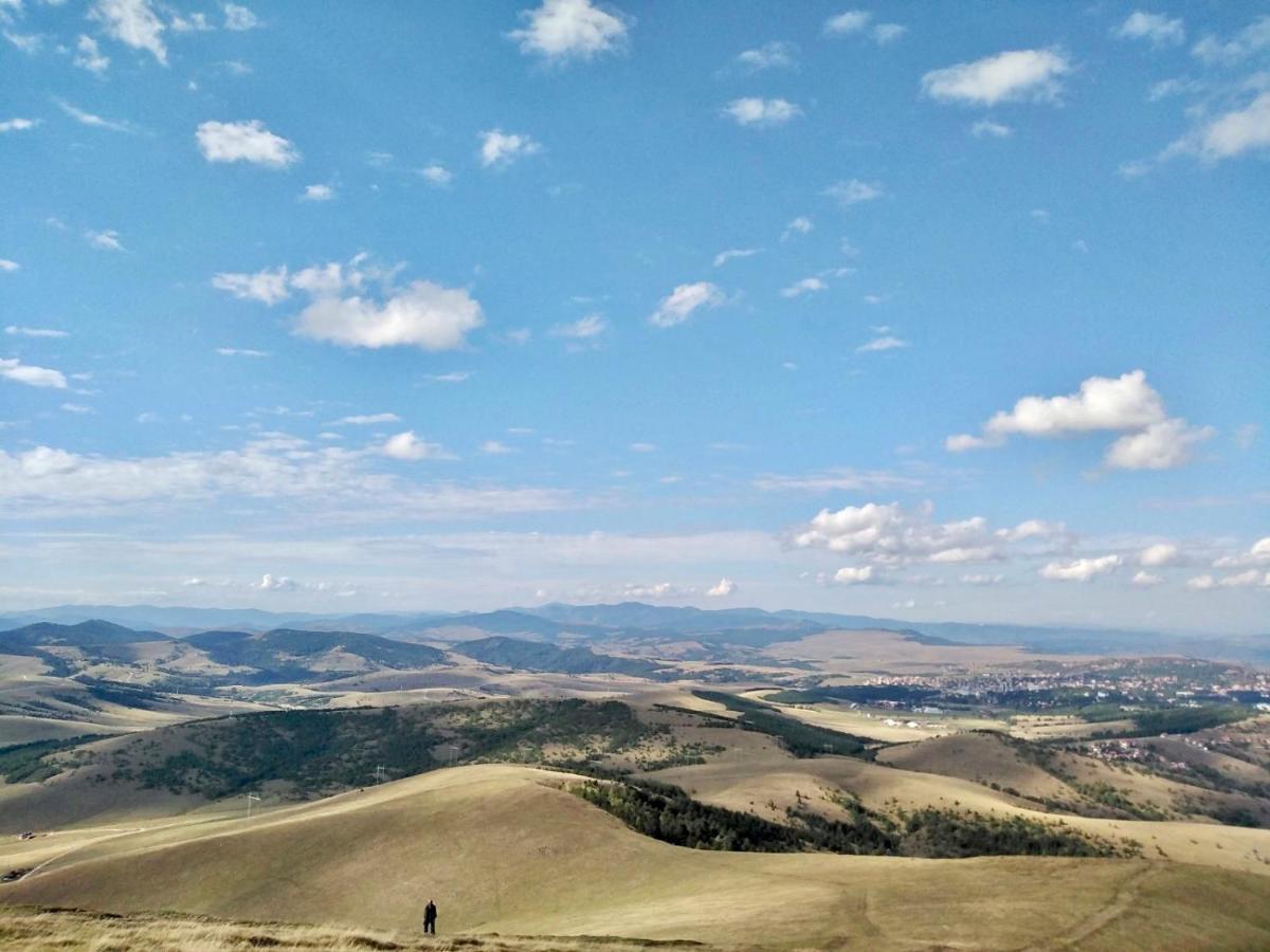 Brvnara Ispod Cigote Apartment Zlatibor