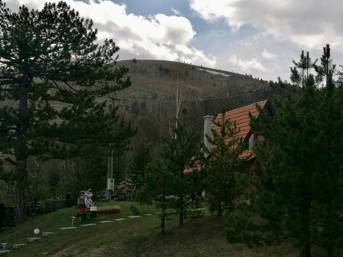 Brvnara Ispod Cigote * Zlatibor